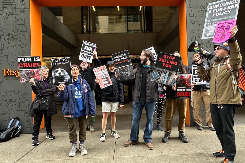 Etsy bans animal fur as industry sentiments continue to shift