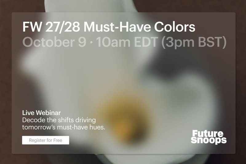 FS Live Webinar: FW 27/28 Must-Have Colors