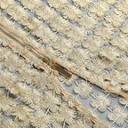 Beige Beaded Crop Top & Skirt Set H6833