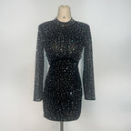 Bejeweled Long Sleeve Bodycon Dress H6668