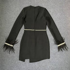 Black Feather Sleeve Embellished Bodycon Dress H6281