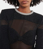 Black Mesh Panel Long Sleeve Mini Dress H6163