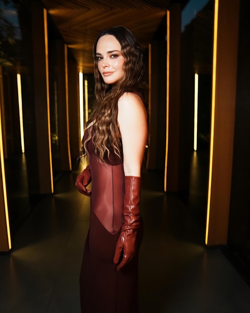 Burgundy Sheer Panel Maxi Dress H6642