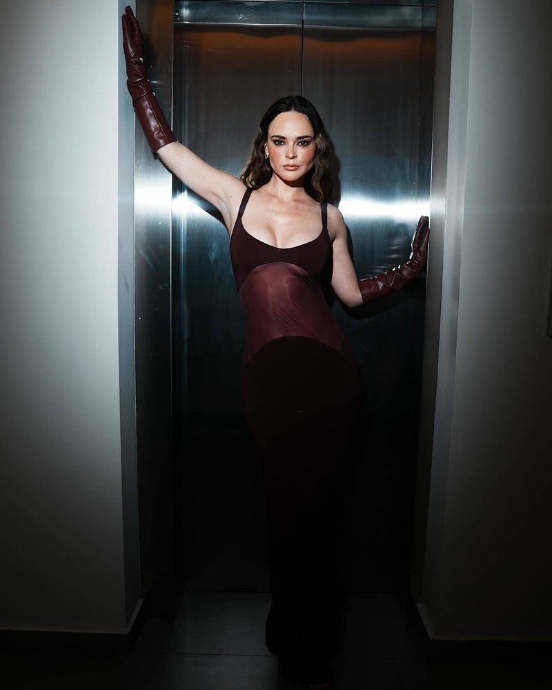 Burgundy Sheer Panel Maxi Dress H6642