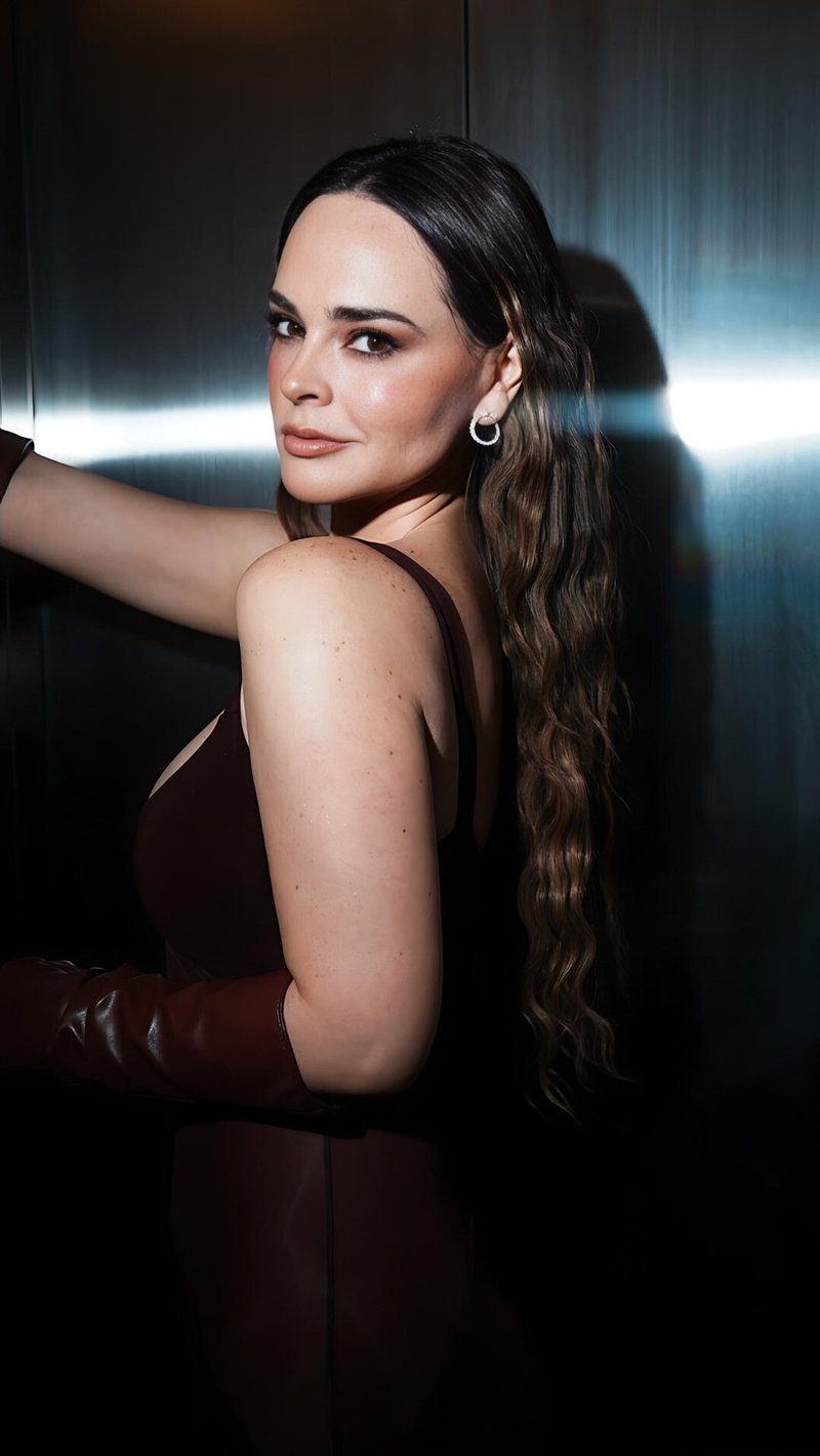 Burgundy Sheer Panel Maxi Dress H6642