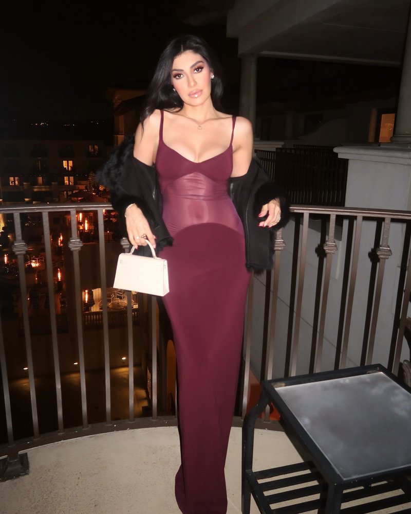 Burgundy Sheer Panel Maxi Dress H6642