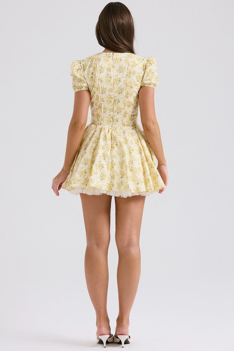 Floral Print Puff Sleeve Mini Dress H6324