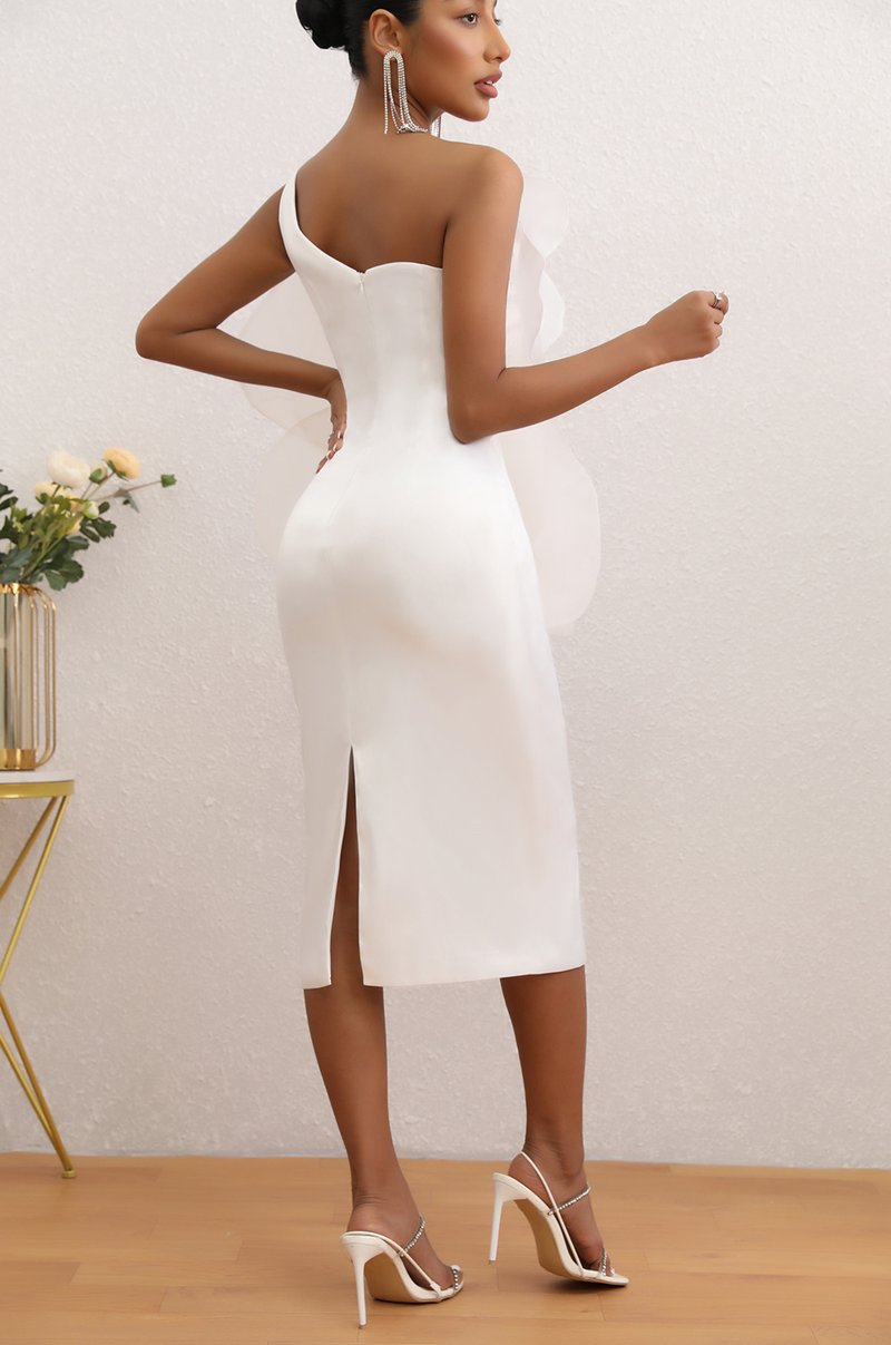 Floral Ruffle Off Shoulder Midi Dress H6338