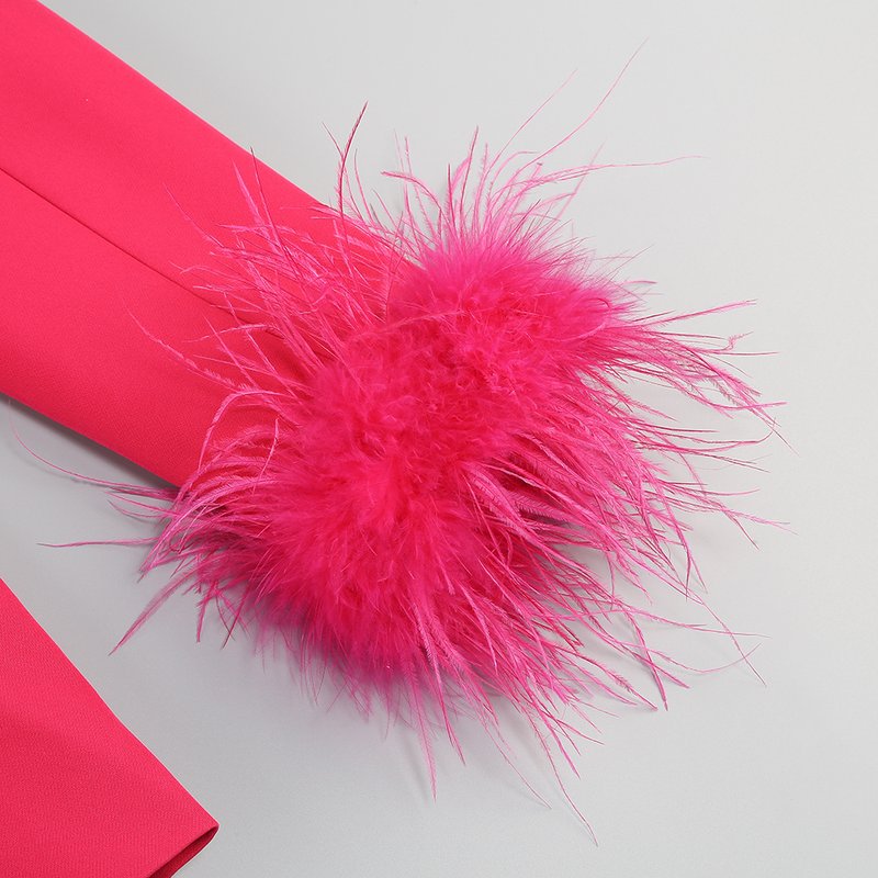 Fuchsia Feathered Blazer Gown Set H6251