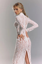 Lace Sheath Long Sleeve Evening Dress H6994