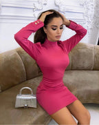 Long Sleeve High Neck Bodycon Dress H3271