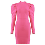 Long Sleeve High Neck Bodycon Dress H3271