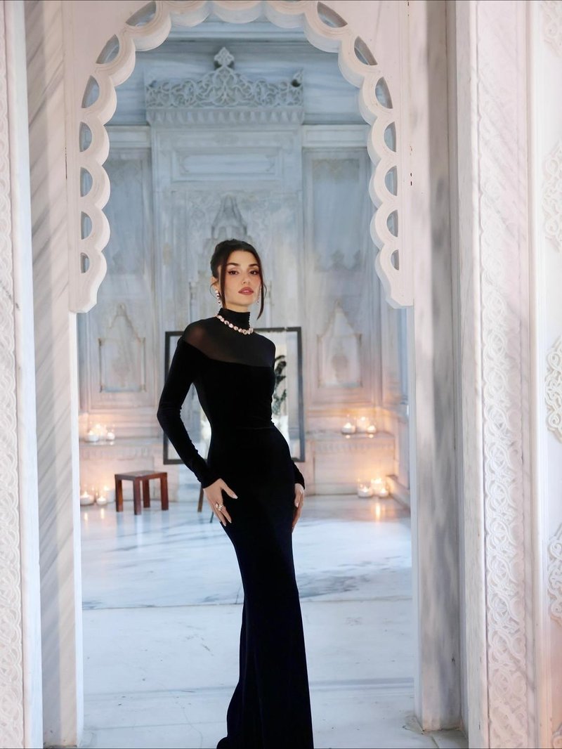 Long Sleeve Velvet Sheer Panel Gown H7132
