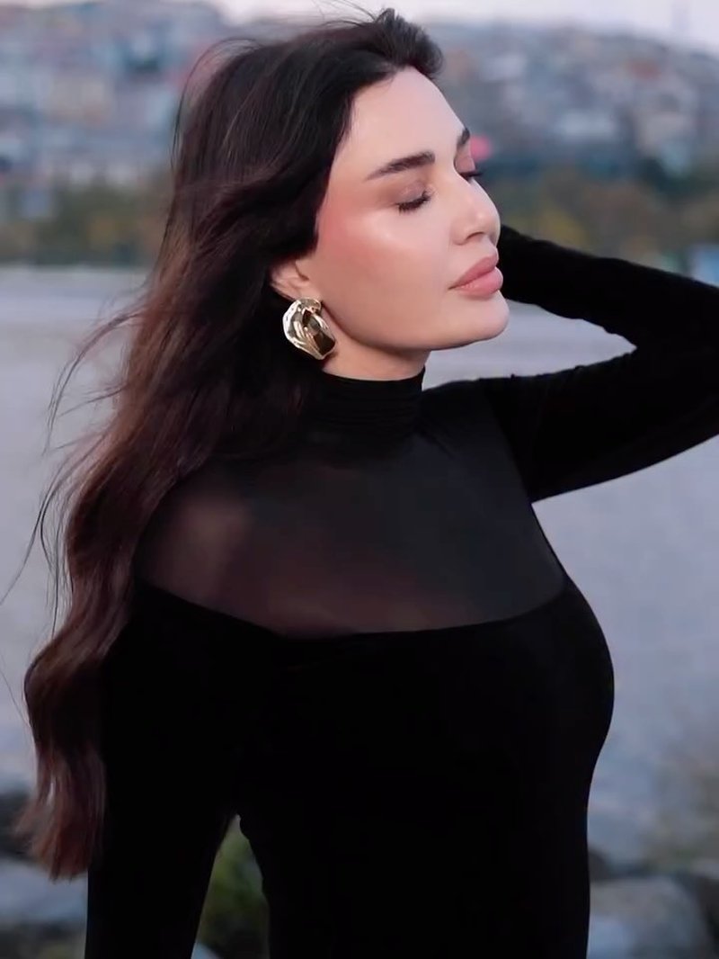 Long Sleeve Velvet Sheer Panel Gown H7132