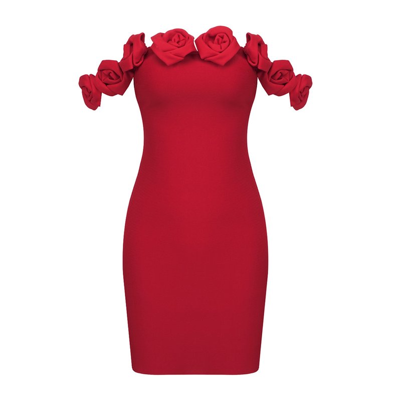 Off Shoulder Rose Ruffle Mini Dress H6202