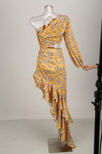 One Shoulder Floral Ruffle Maxi Dress H6256