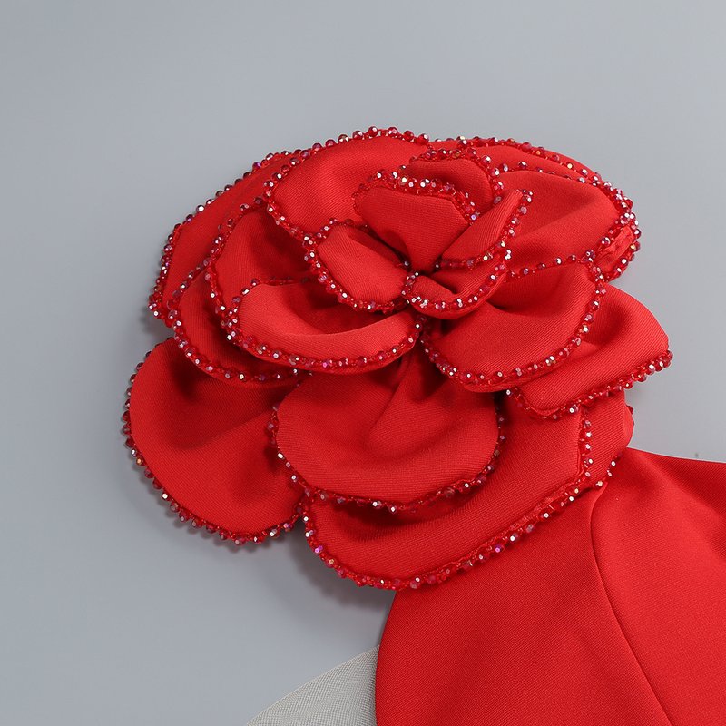 One Shoulder Flower Applique Midi Dress H6347