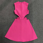 Pink Cutout Rose Detail Mini Dress H6155