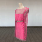 Pink Mesh Crop Top & Mini Skirt Set H6274