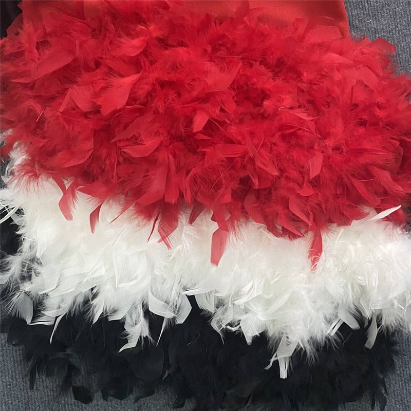 Plunging Feather Hem Mini Dress H6154