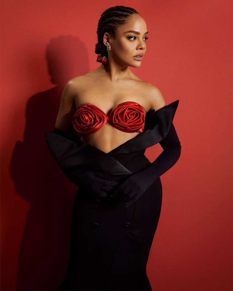 Red Rose Bustier Black Gown H5961