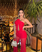 Red Rose Neck Deep V Jumpsuit H6441