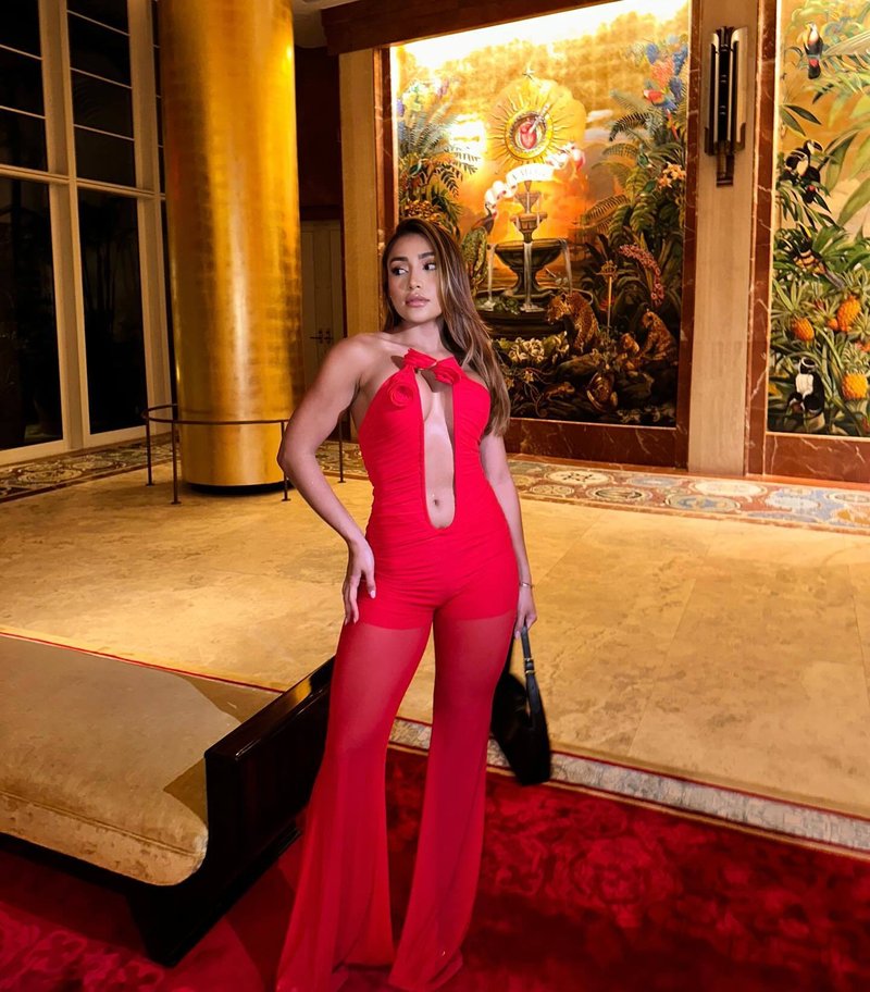Red Rose Neck Deep V Jumpsuit H6441