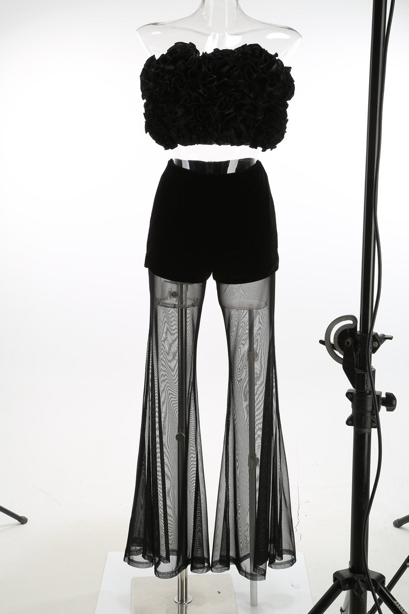 Ruffle Crop Top & Sheer Wide Leg Pants Set H7123