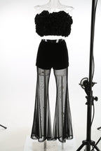 Ruffle Crop Top & Sheer Wide Leg Pants Set H7123