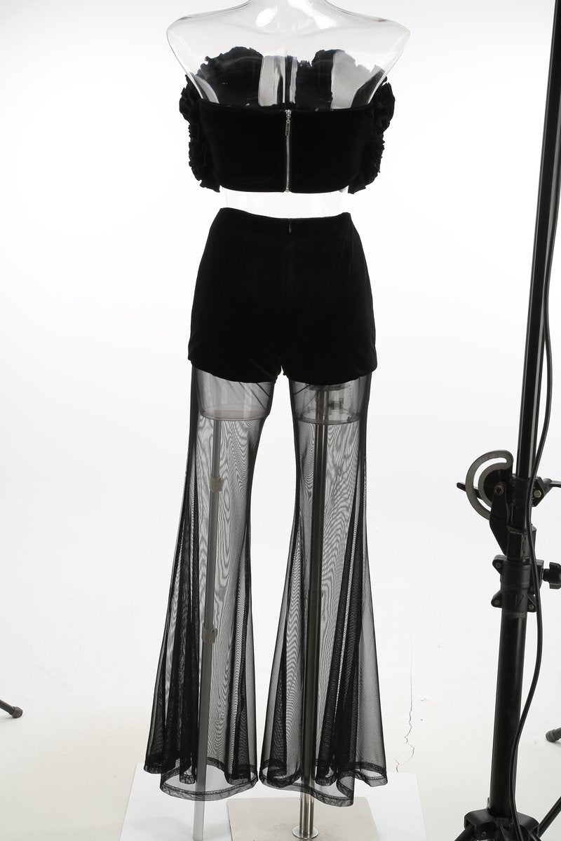 Ruffle Crop Top & Sheer Wide Leg Pants Set H7123