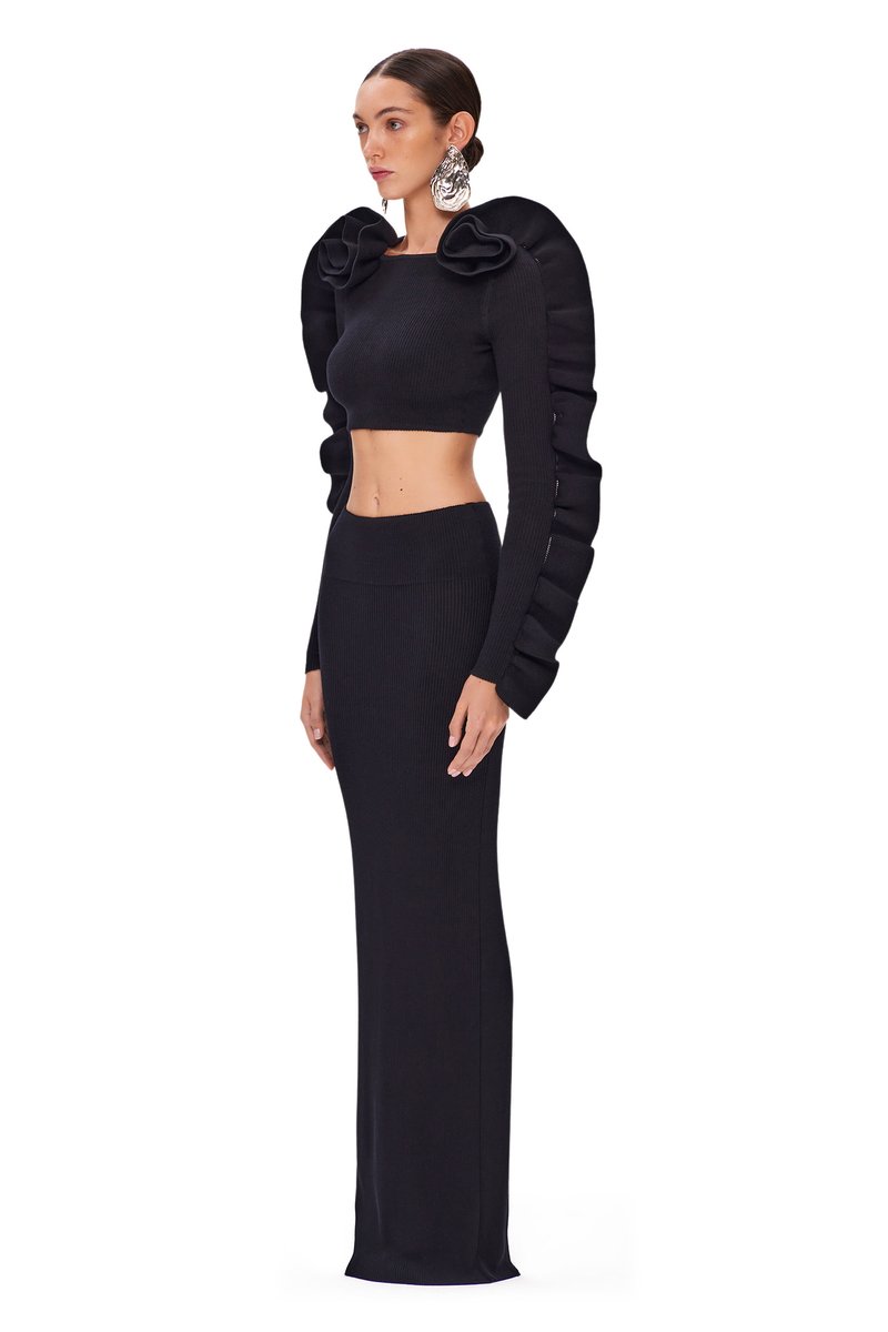 Ruffled Sleeve Crop Top & High-Waisted Skirt Set H6181