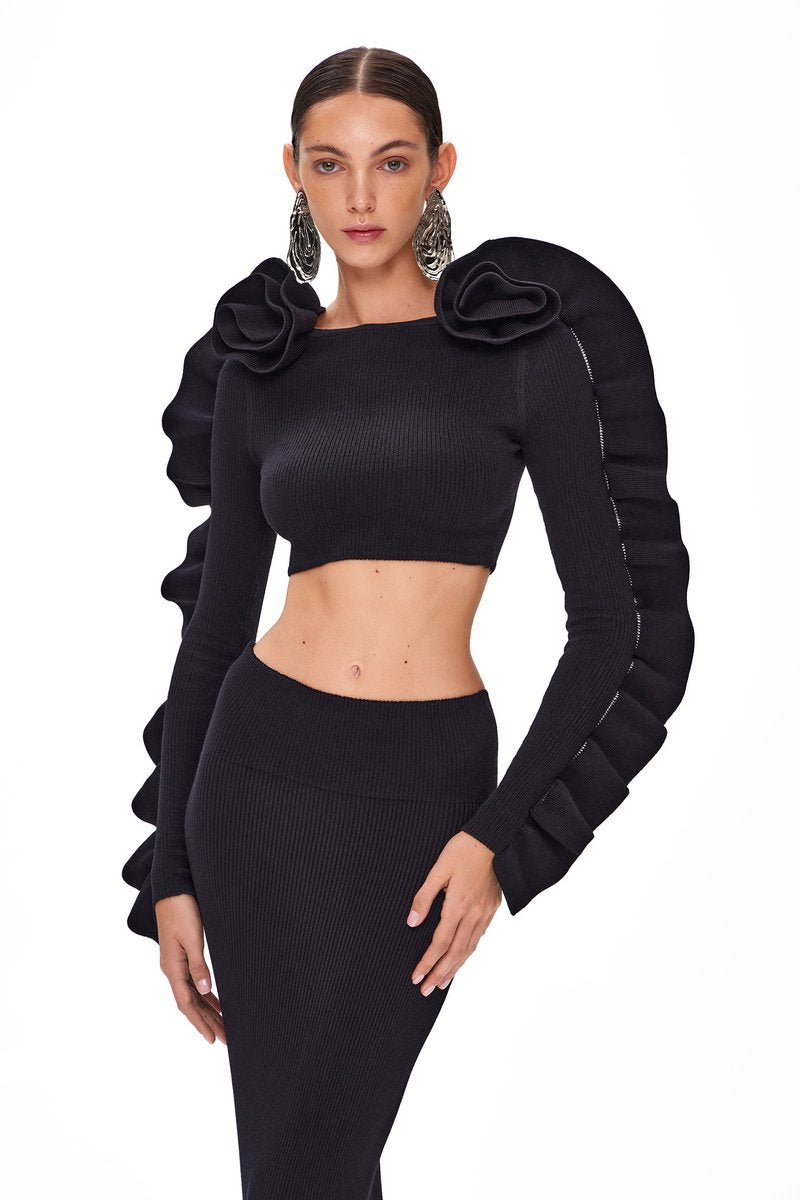 Ruffled Sleeve Crop Top & High-Waisted Skirt Set H6181