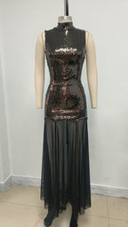 Sequined High Neck Sheer Maxi Dress H6705