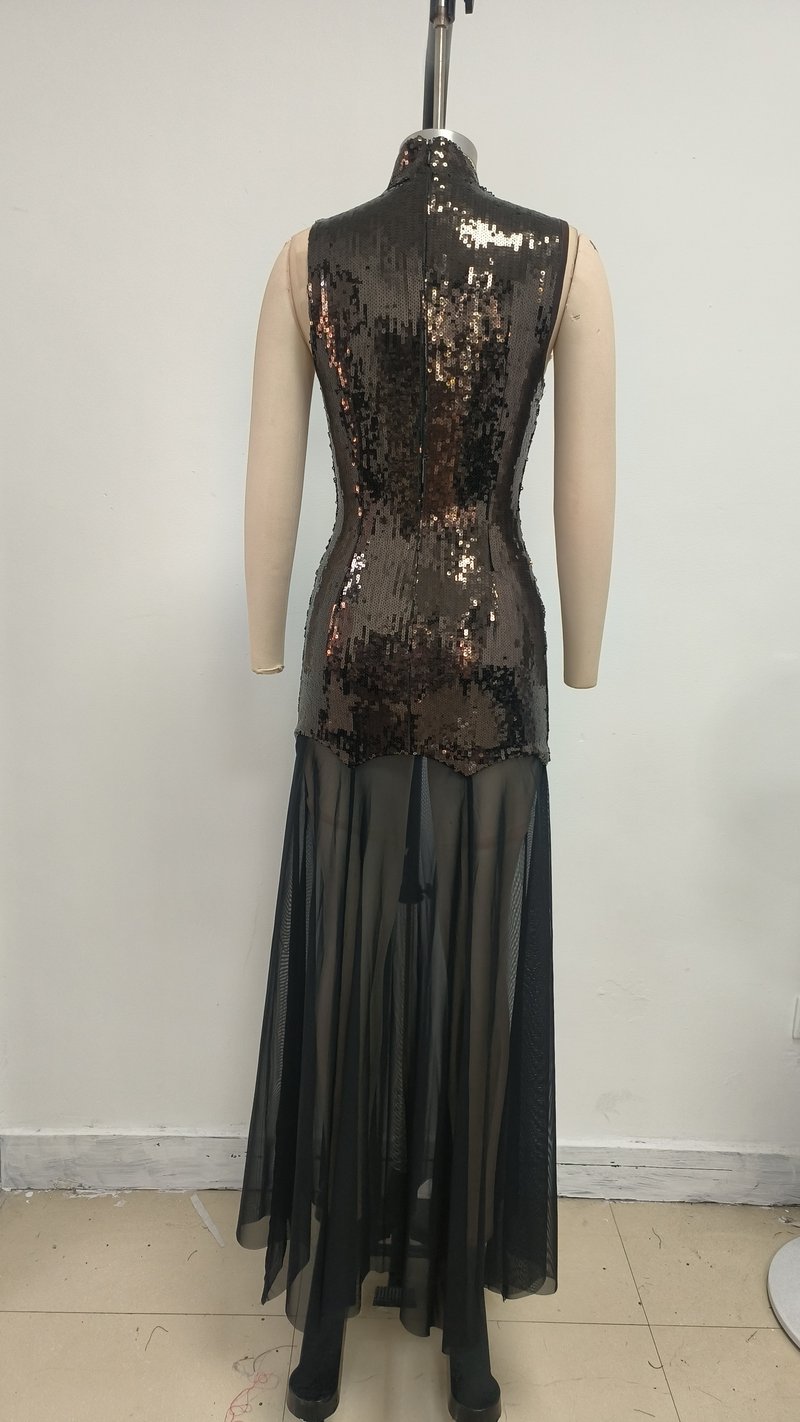 Sequined High Neck Sheer Maxi Dress H6705