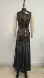 Sequined High Neck Sheer Maxi Dress H6705