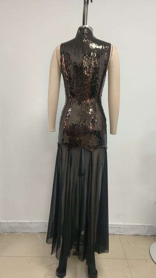 Sequined High Neck Sheer Maxi Dress H6705