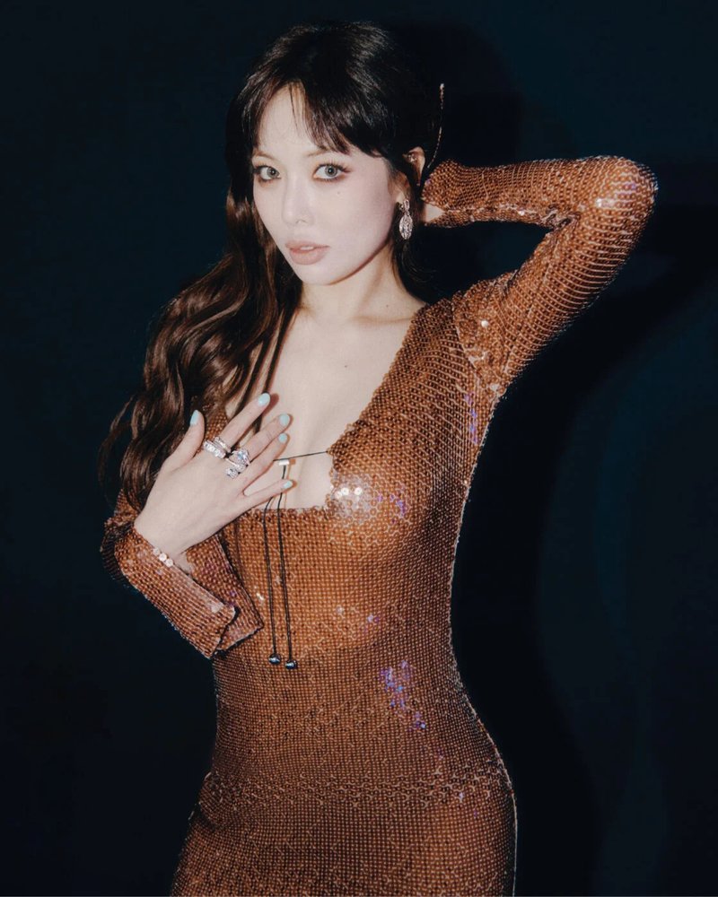 Sequined Long Sleeve Maxi Dress H5550