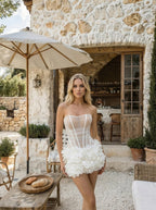 Sheer Corset Ruffle Mini Dress H7118