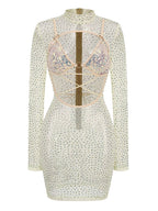 Sheer Sequin Cutout Mini Dress H6549
