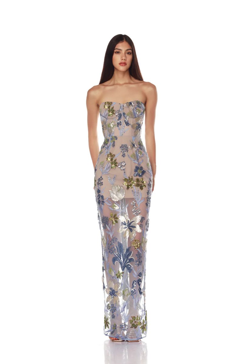 Strapless Embroidered Floral Maxi Dress H6762