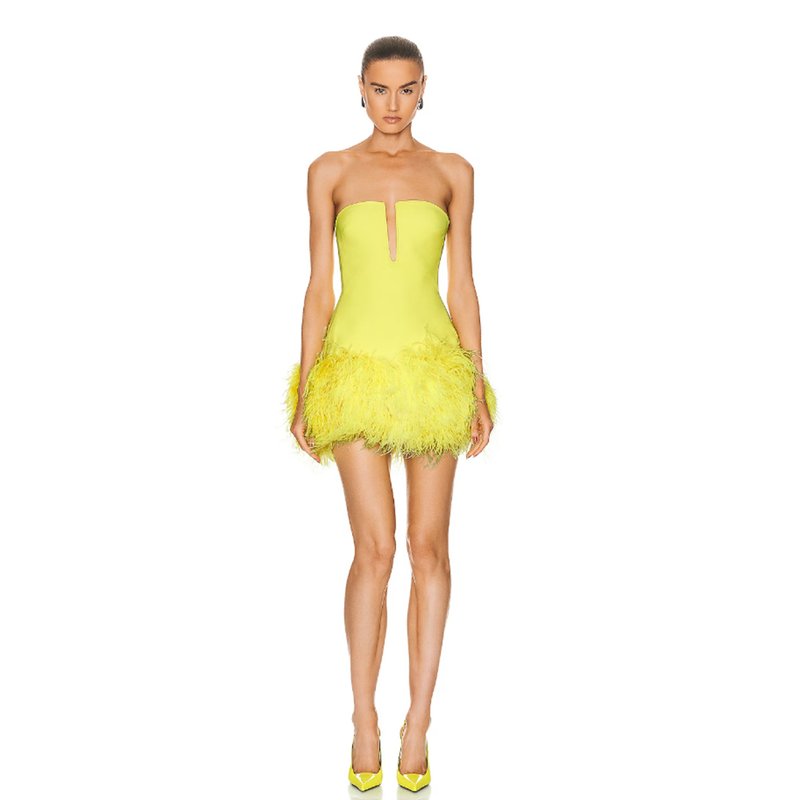 Strapless Feather Mini Dress H6363