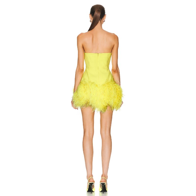 Strapless Feather Mini Dress H6363