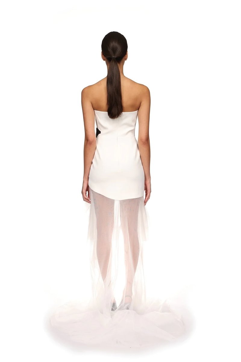 Strapless Floral Embroidered Asymmetrical Dress H6406