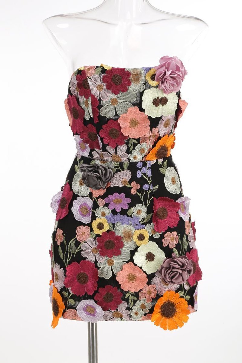 Strapless Floral Embroidered Mini Dress H6396