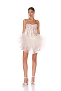Strapless Lace Corset Tutu Mini Dress H6412