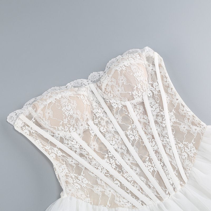 Strapless Lace Corset Tutu Mini Dress H6412