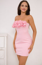 Strapless Rose Applique Mini Dress H6056