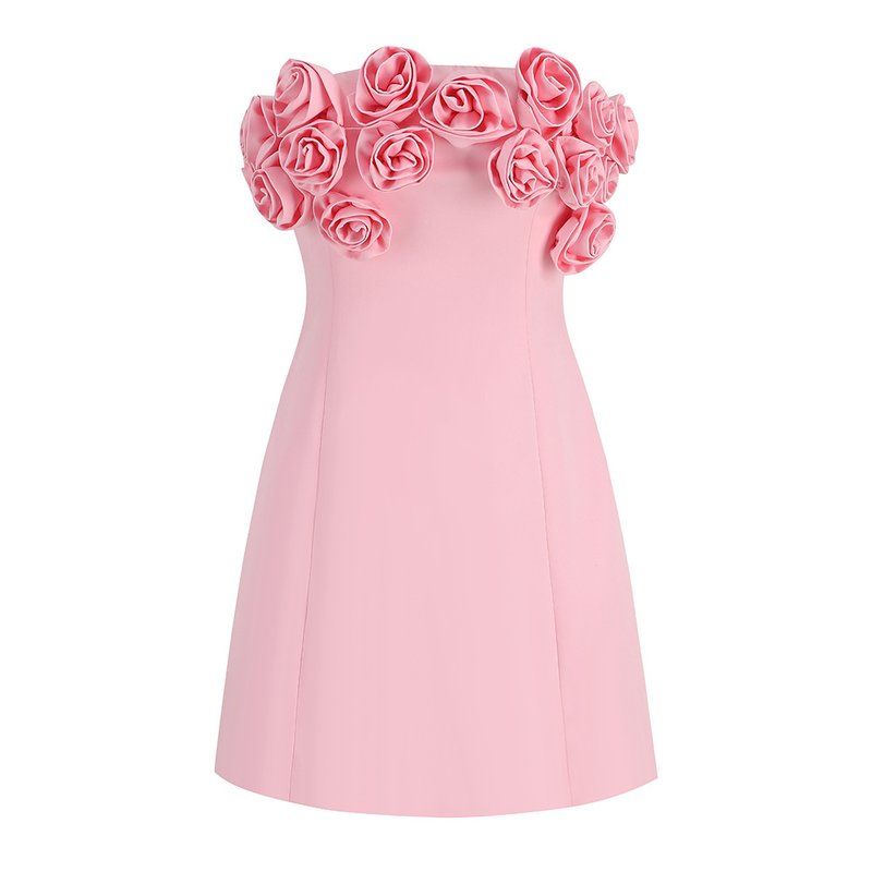 Strapless Rose Applique Mini Dress H6056