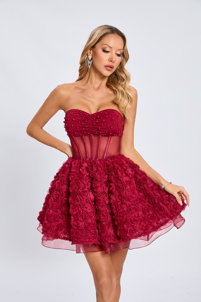 Strapless Rose Applique Mini Dress H6636