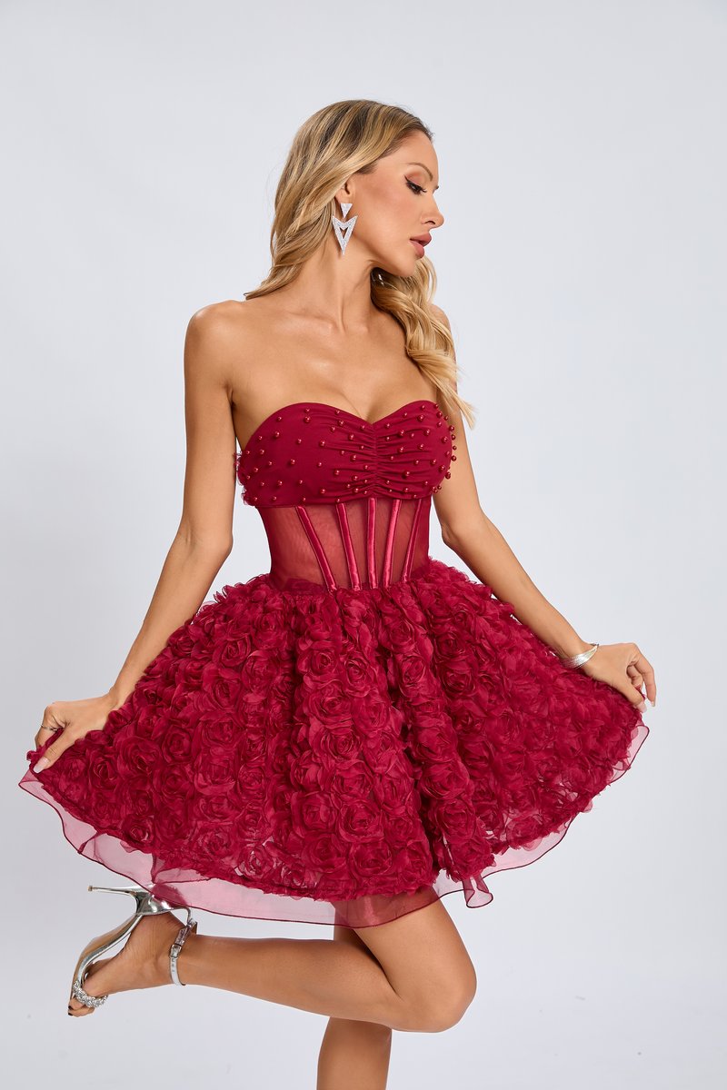Strapless Rose Applique Mini Dress H6636